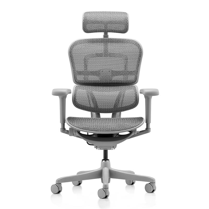Ergonor 保友金豪B 雄鹰人体工学椅 银白网 X版